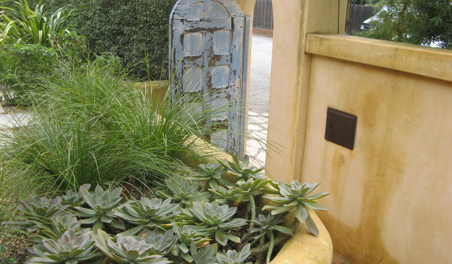 landscape design and installation
