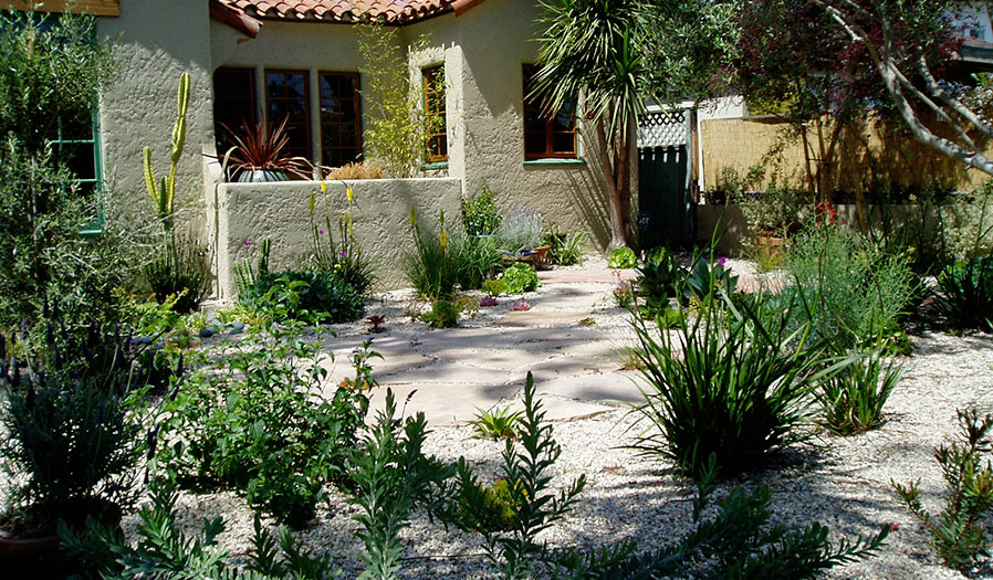 landscape design and installation