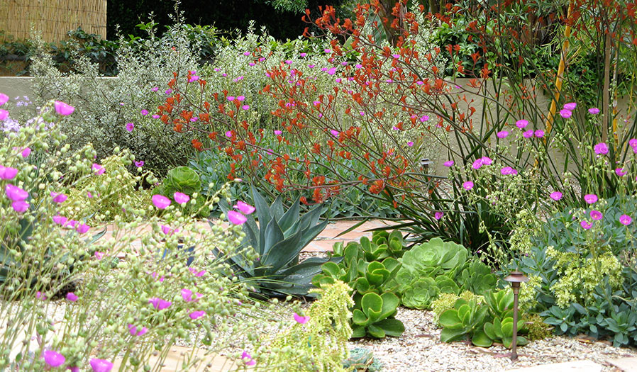 landscape design and installation