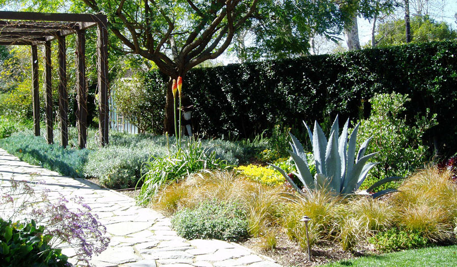 landscape design and installation
