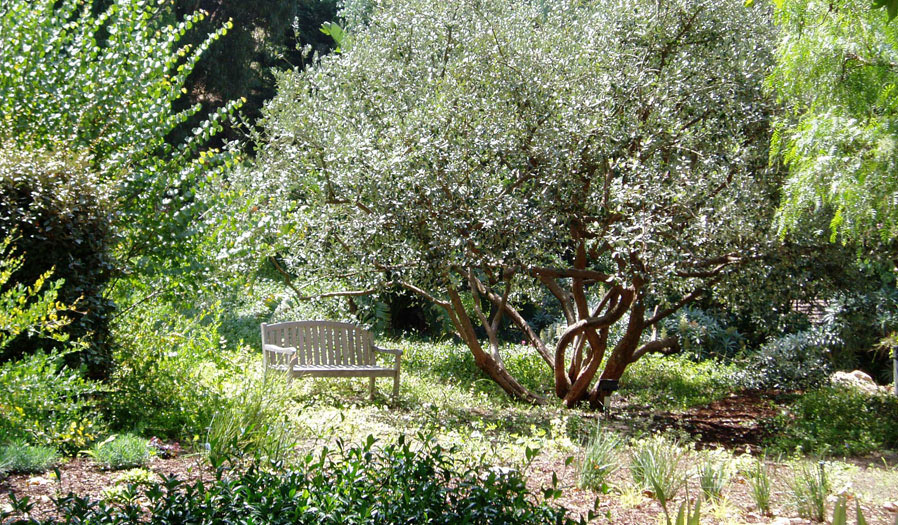 landscape design and installation