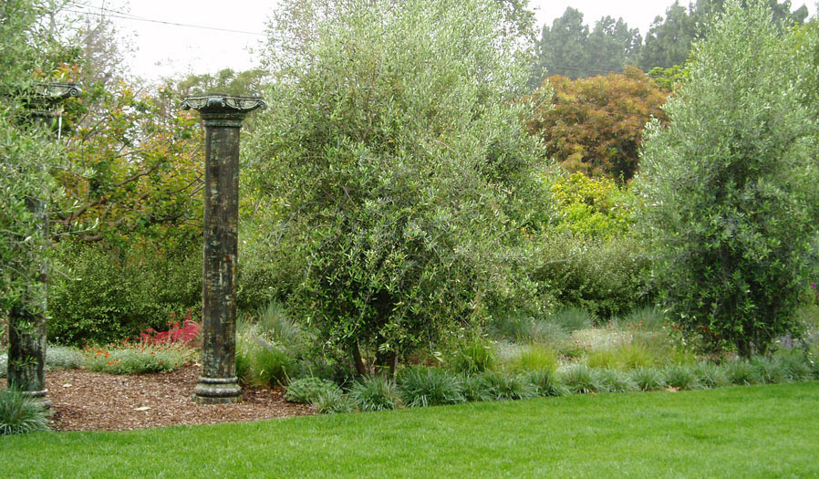 landscape design and installation