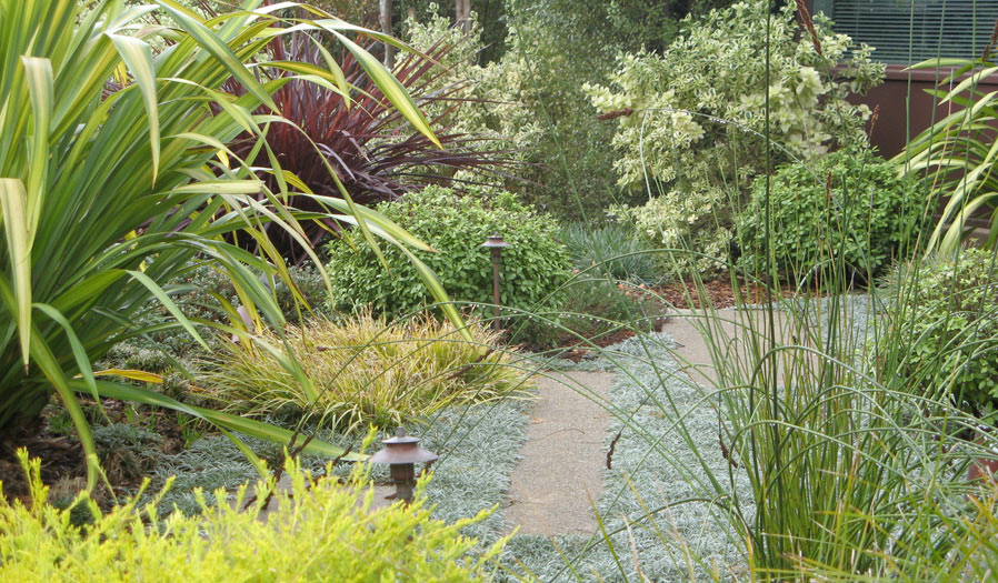 landscape design and installation