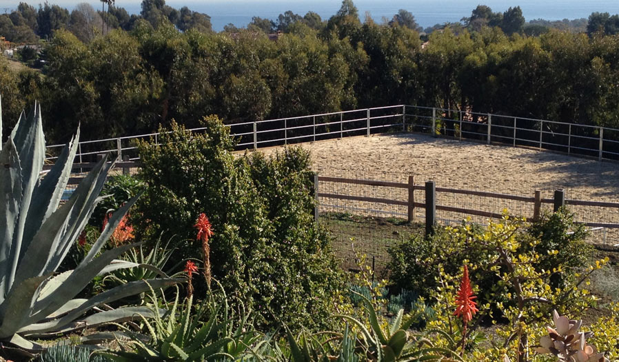 landscape design and installation