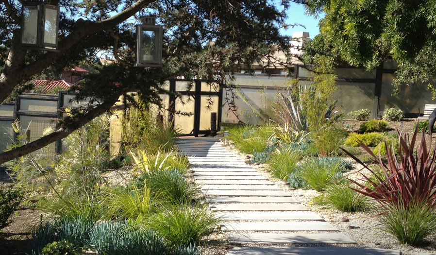 landscape design and installation