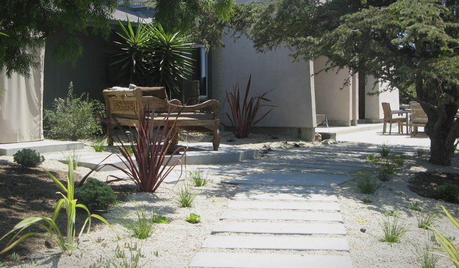 landscape design and installation