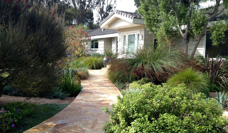 landscape design and installation