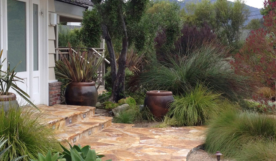 landscape design and installation