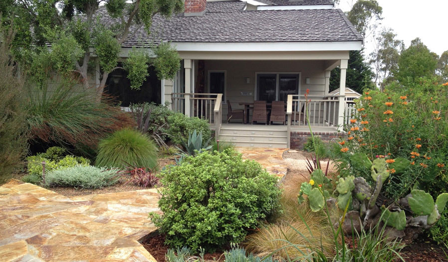 landscape design and installation
