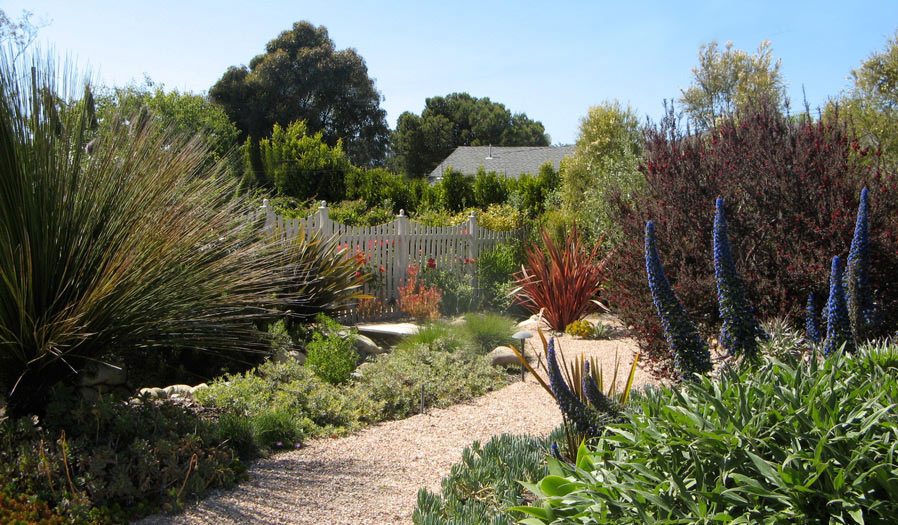 landscape design and installation