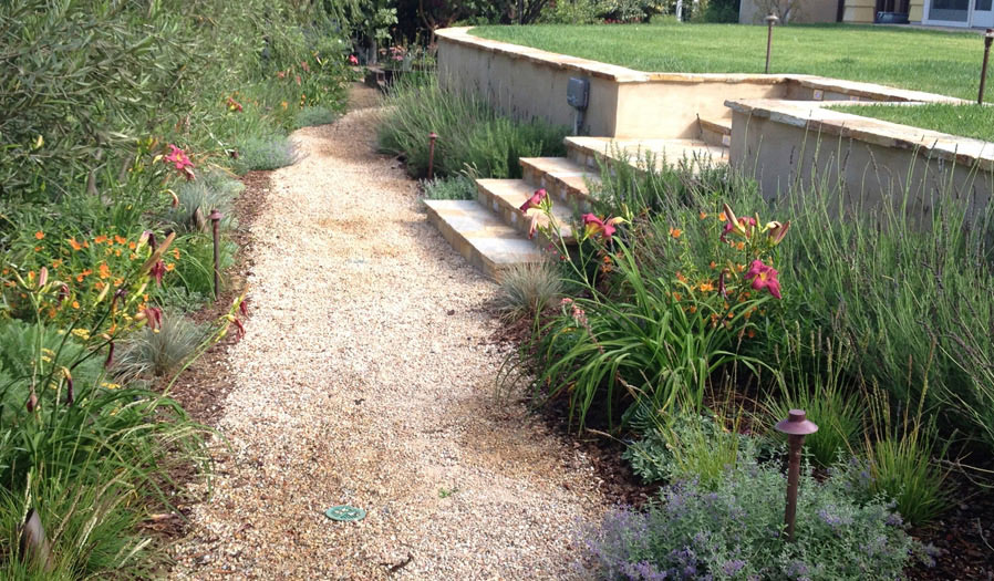 landscape design and installation