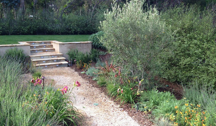 landscape design and installation