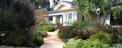 landscape design and installation