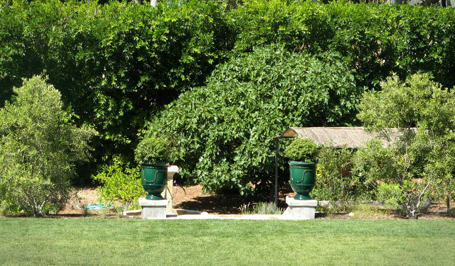 landscape design and installation
