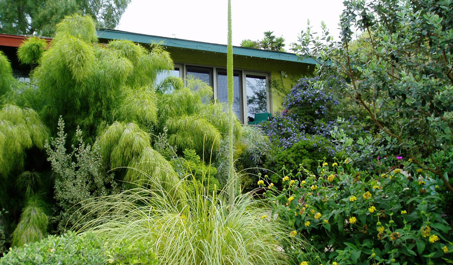 landscape design and installation