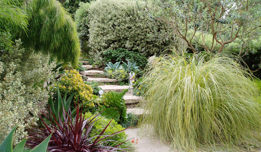 landscape design and installation