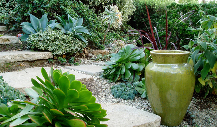landscape design and installation