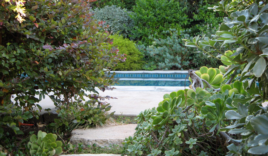 landscape design and installation