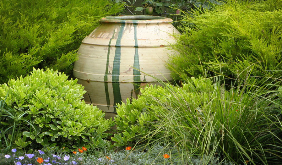 landscape design and installation