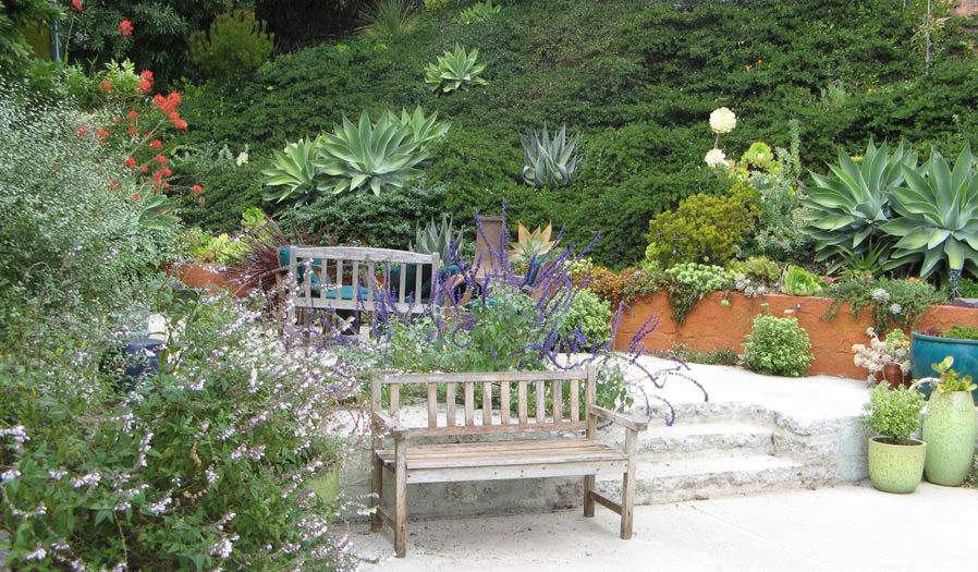 landscape design and installation