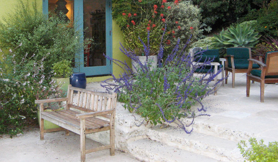 landscape design and installation