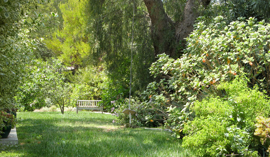 landscape design and installation