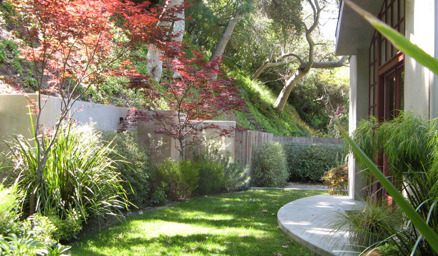 landscape design and installation