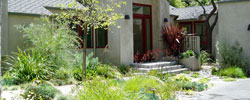 landscape design and installation