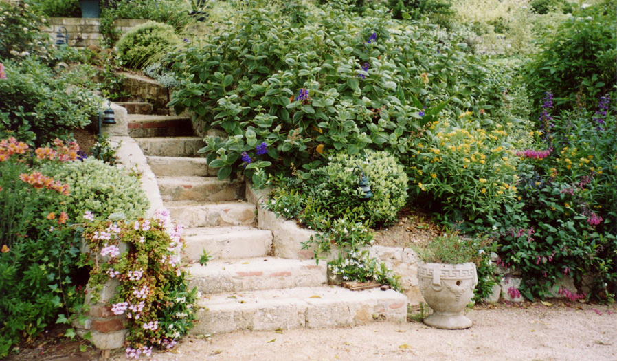 landscape design and installation