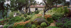 landscape design and installation