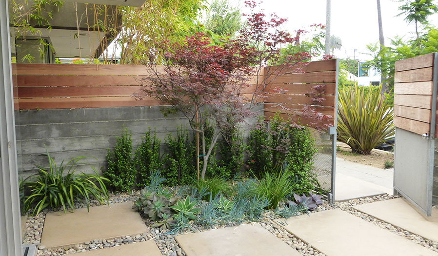 landscape design and installation