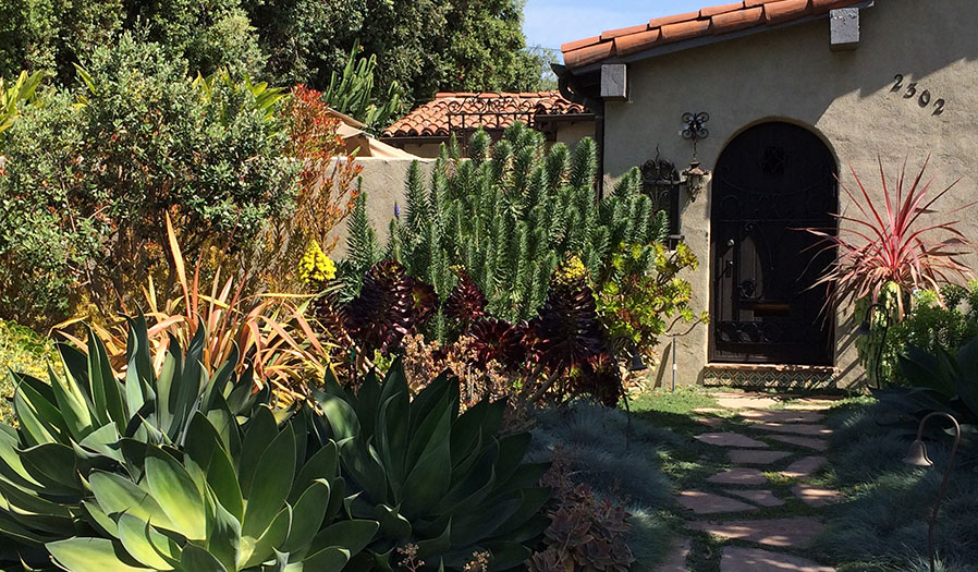 landscape design and installation