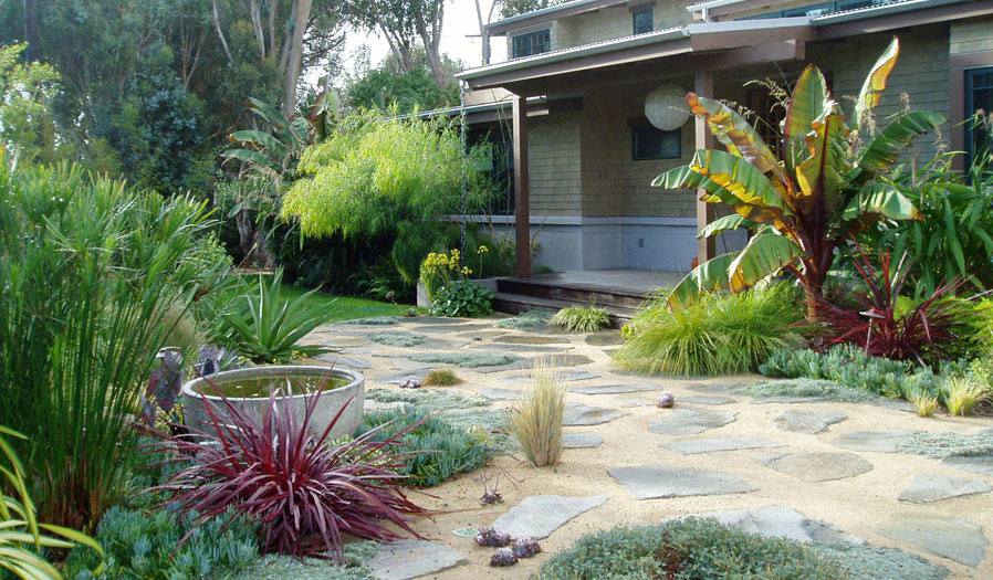 landscape design and installation