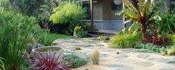 landscape design and installation